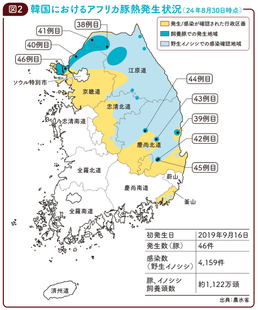 図2　韓国におけるアフリカ豚熱発生状況（24年8月30日時点）