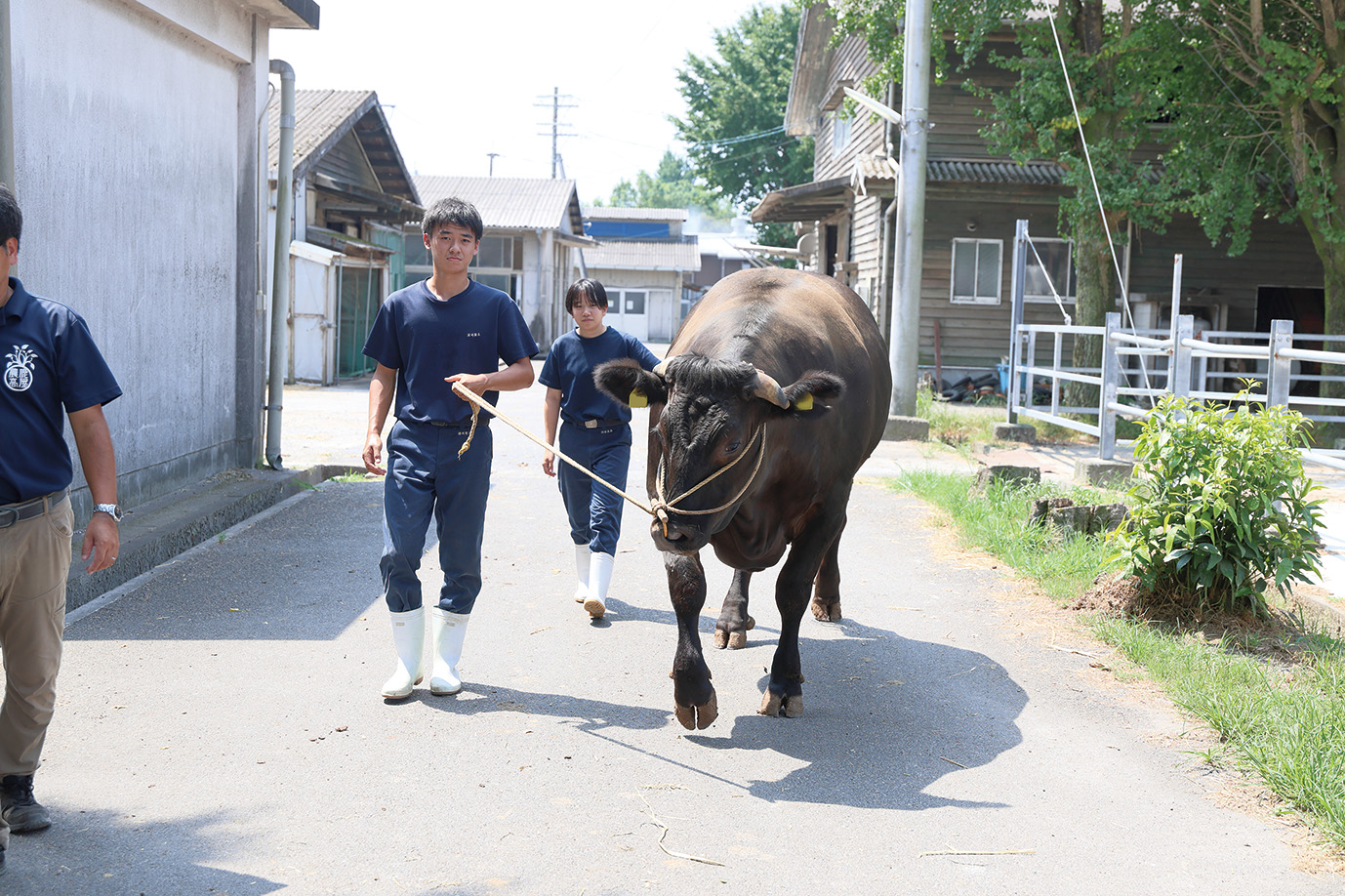 生徒の写真